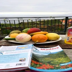 Paraiso Flores Estreito Da Calheta