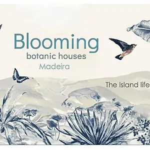 Blooming Botanic Estreito Da Calheta
